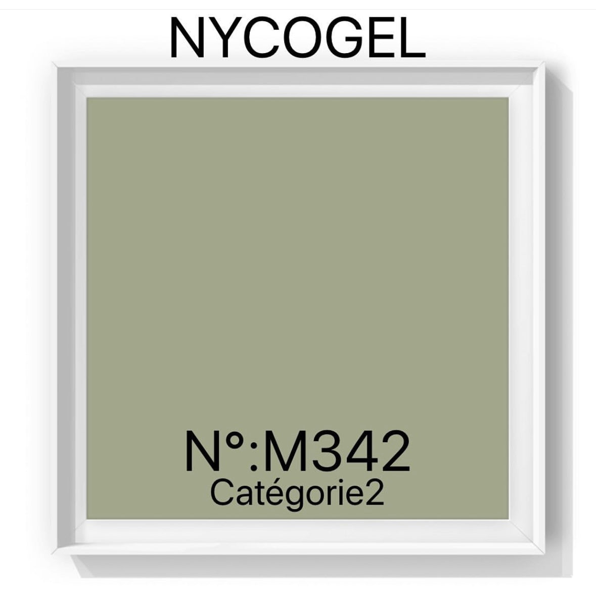 NYCOGEL Color Gel 日本製造專業美甲師色膠 M301-K3