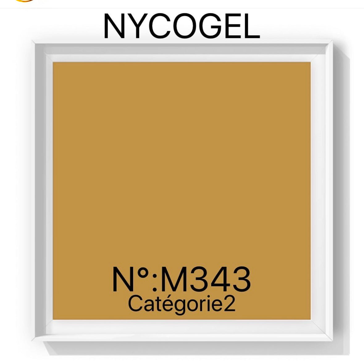 NYCOGEL Color Gel 日本製造專業美甲師色膠 M301-K3